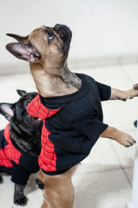 Spider-Man Hoodie for Dogs