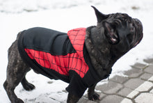 Load image into Gallery viewer, Spider-Man Hoodie for Dogs