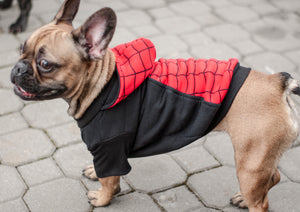 Spider-Man Hoodie for Dogs