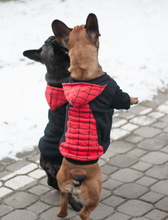 Load image into Gallery viewer, Spider-Man Hoodie for Dogs